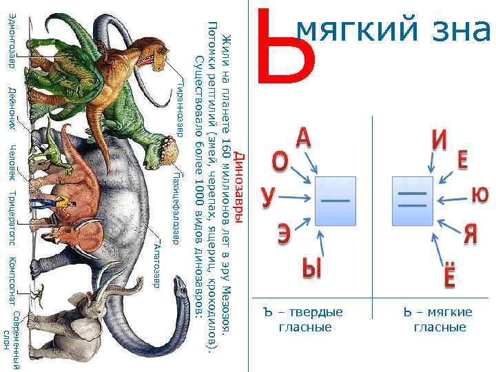 мягкий знак Динозавры Ь – мягкие гласные Ъ – твердые гласные Эдмонтозавр Дейноних Тираннозавр