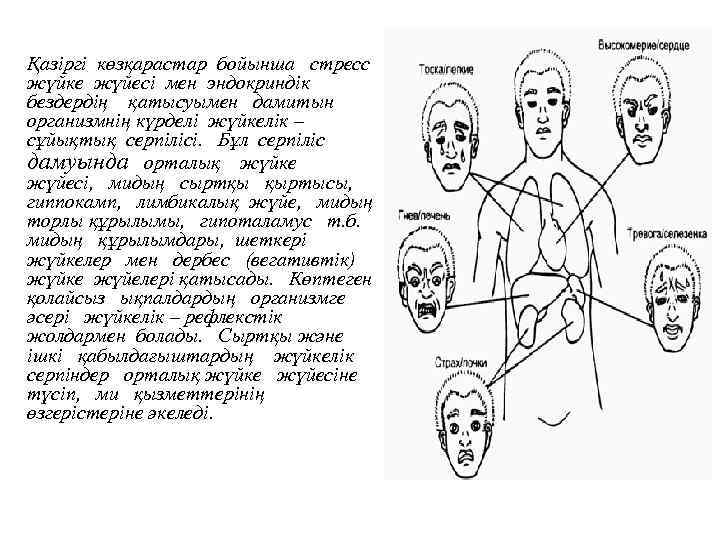 Қазіргі көзқарастар бойынша стресс жүйке жүйесі мен эндокриндік бездердің қатысуымен дамитын организмнің күрделі жүйкелік