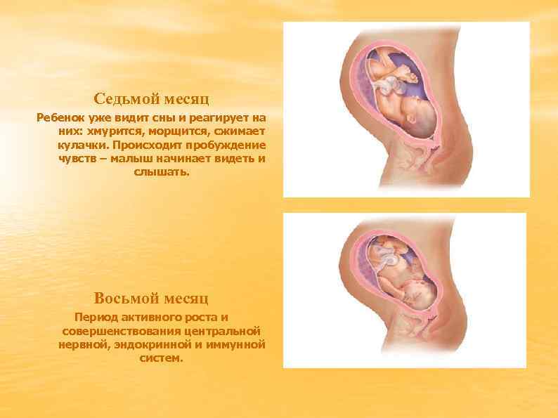 Во сколько месяцев виден. Что новорожденный видит в месяц. Как видит новорожденный в 1 месяц. Как видят дети в первый месяц жизни. Как видит месячный ребенок.