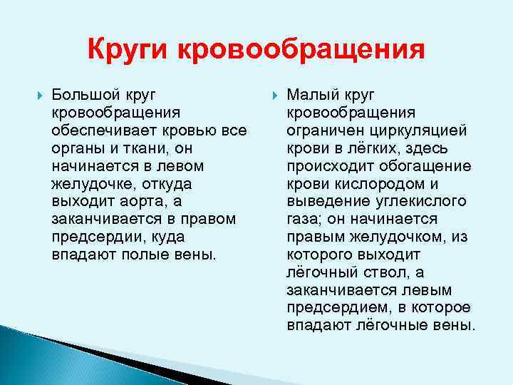 Круги кровообращения Большой круг кровообращения обеспечивает кровью все органы и ткани, он начинается в