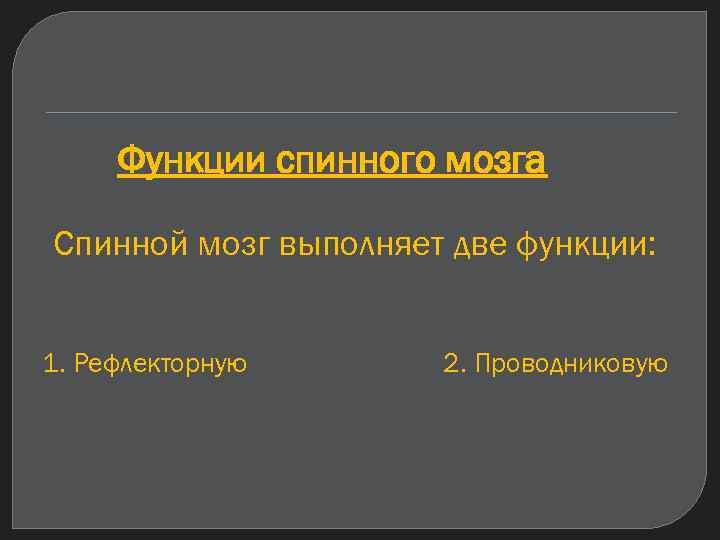 Функции спинного мозга Спинной мозг выполняет две функции: 1. Рефлекторную 2. Проводниковую 