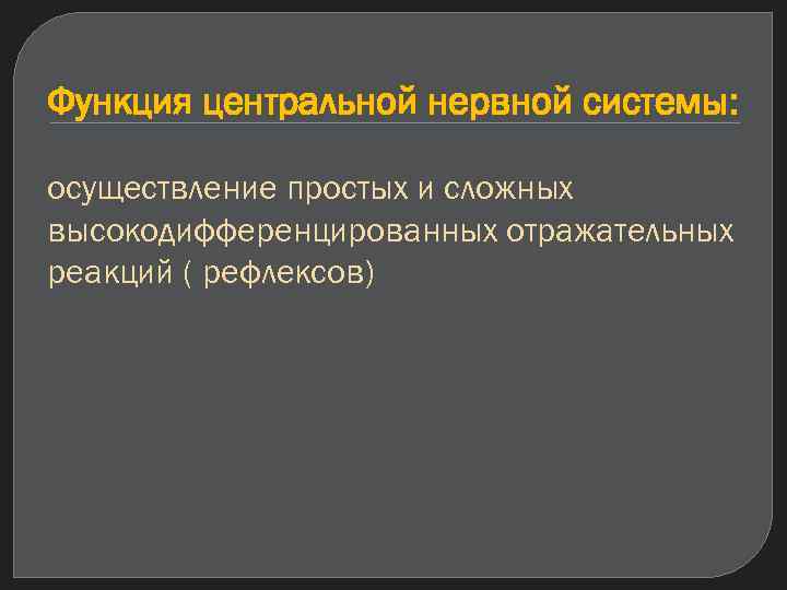 Функция центральной нервной системы: осуществление простых и сложных высокодифференцированных отражательных реакций ( рефлексов) 