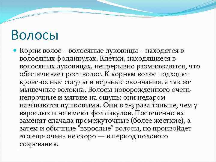 Волосы Корни волос – волосяные луковицы – находятся в волосяных фолликулах. Клетки, находящиеся в