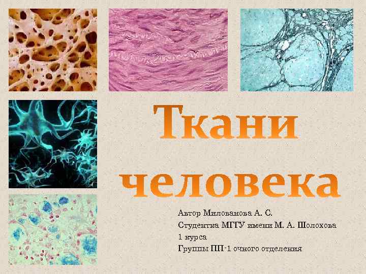 Автор Милованова А. С. Студентка МГГУ имени М. А. Шолохова 1 курса Группы ПП-1