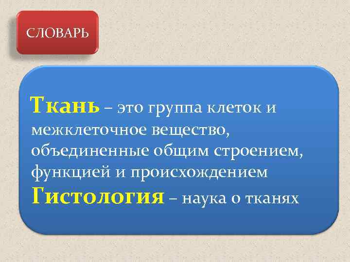 СЛОВАРЬ Ткань – это группа клеток и межклеточное вещество, объединенные общим строением, функцией и