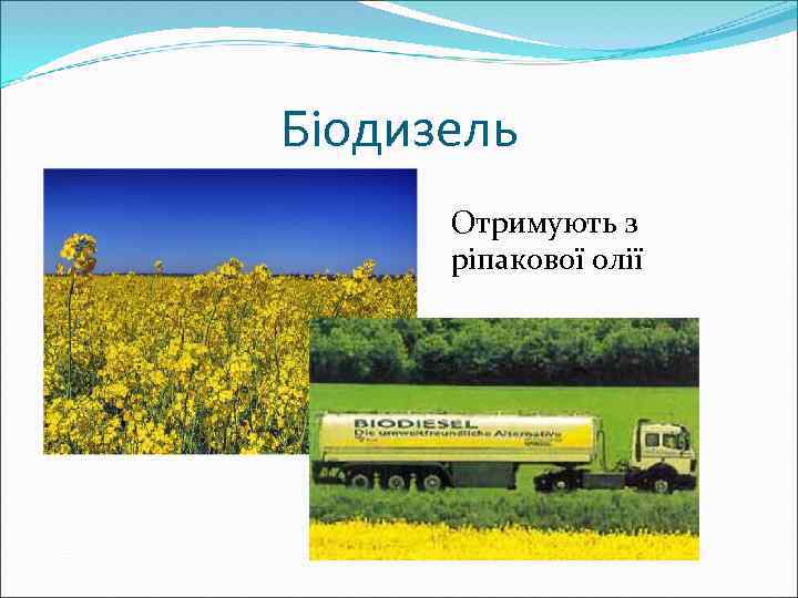 Біодизель Отримують з ріпакової олії 