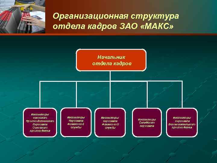 Организационная структура отдела кадров ЗАО «МАКС» Начальник отдела кадров Инспекторы основного Производственного Персонала Основного