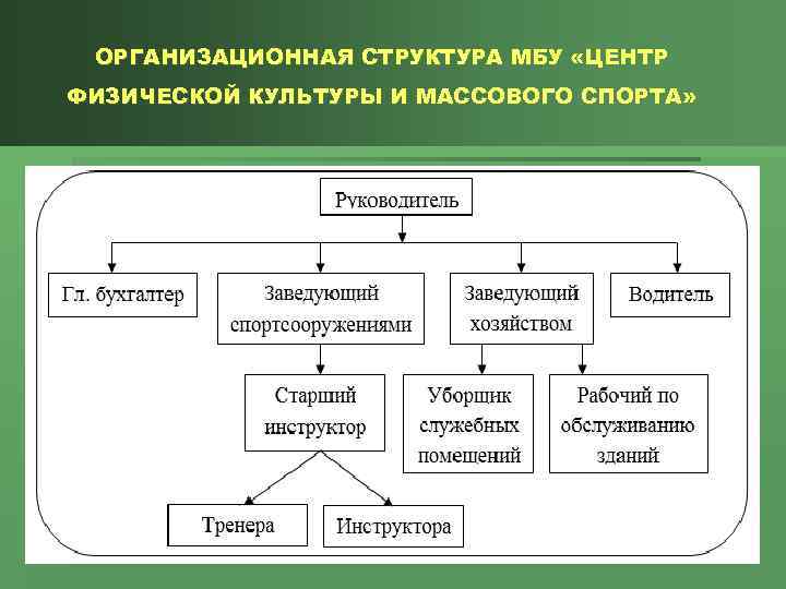 ОРГАНИЗАЦИОННАЯ СТРУКТУРА МБУ «ЦЕНТР ФИЗИЧЕСКОЙ КУЛЬТУРЫ И МАССОВОГО СПОРТА» 