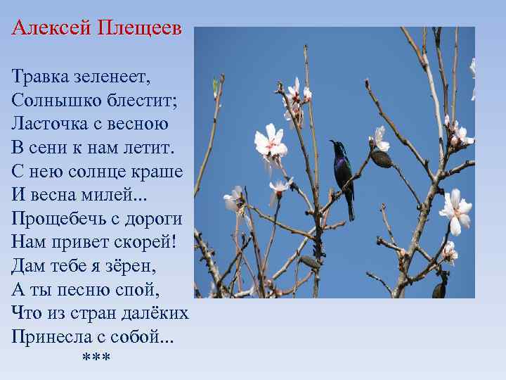 Алексей Плещеев Травка зеленеет, Солнышко блестит; Ласточка с весною В сени к нам летит.