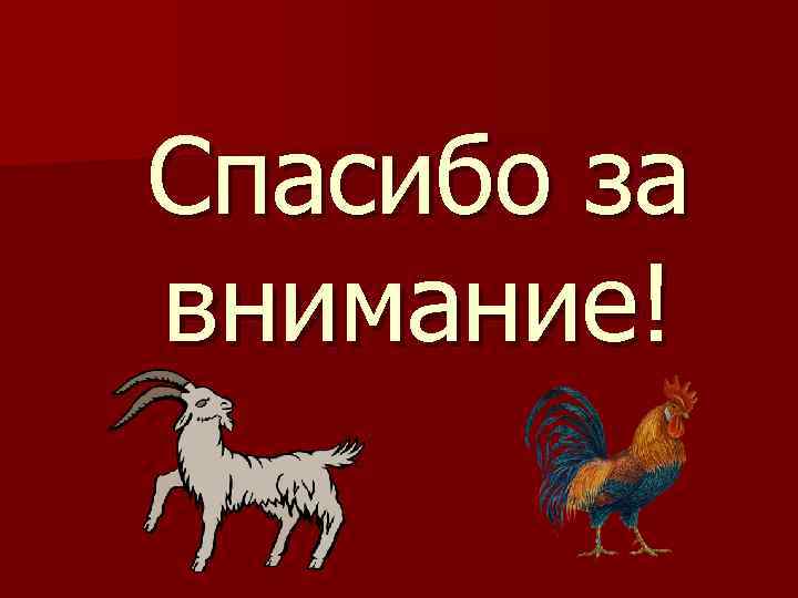 Спасибо за внимание! 