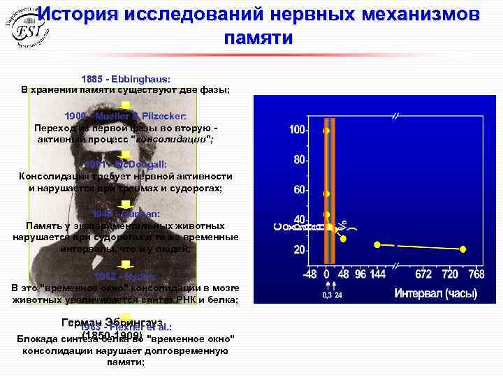 История исследований нервных механизмов памяти 1885 - Еbbinghaus: В хранении памяти существуют две фазы;