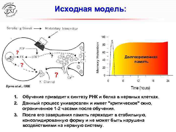 Исходная модель: ? Долговременная память ? ? Byrne et al. , 1988 1. 2.