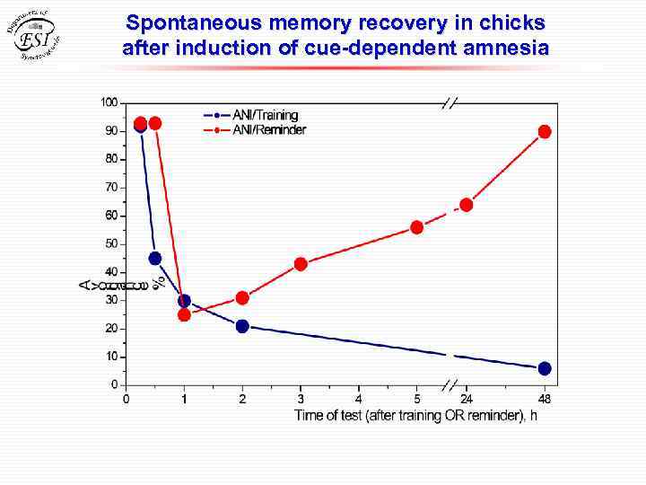 Spontaneous memory recovery in chicks after induction of cue-dependent amnesia 