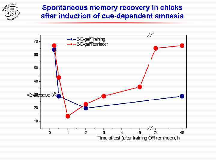 Spontaneous memory recovery in chicks after induction of cue-dependent amnesia 