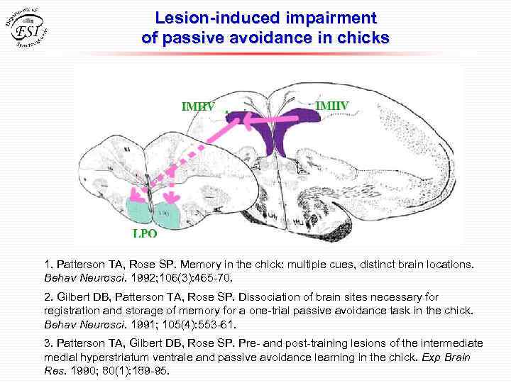 Lesion-induced impairment of passive avoidance in chicks 1. Patterson TA, Rose SP. Memory in