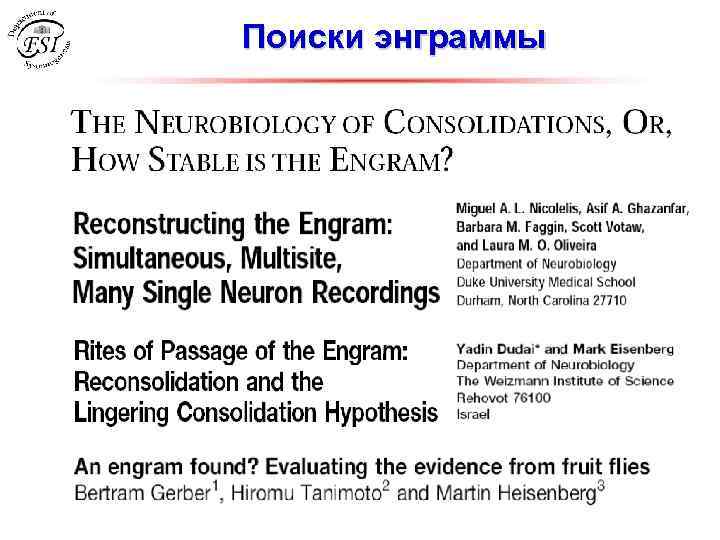 Поиски энграммы 