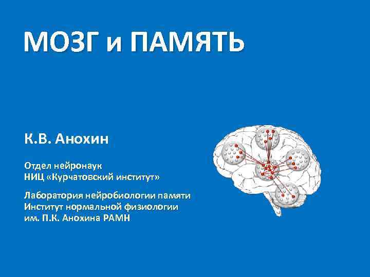 МОЗГ и ПАМЯТЬ К. В. Анохин Отдел нейронаук НИЦ «Курчатовский институт» Лаборатория нейробиологии памяти