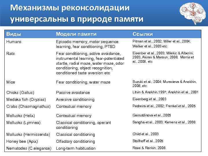 Механизмы реконсолидации универсальны в природе памяти Виды Модели памяти Ссылки Humans Episodic memory, motor