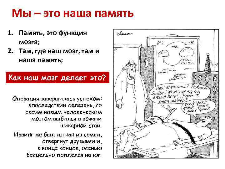 Мы – это наша память 1. Память, это функция мозга; 2. Там, где наш