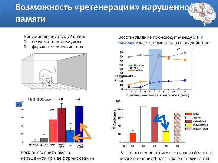 Возможность «регенерации» нарушенной памяти Напоминающие воздействия: 1. безусловным стимулом 2. фармакологические в-ва Восстановление памяти,