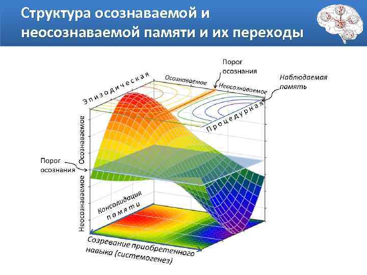Структура осознаваемой и неосознаваемой памяти и их переходы 