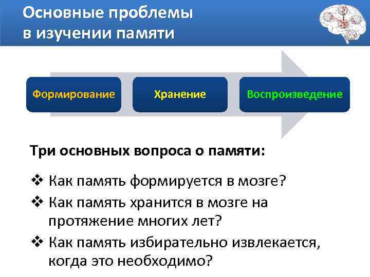 Основные проблемы в изучении памяти Формирование Хранение Воспроизведение Три основных вопроса о памяти: v