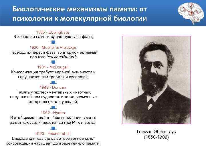 Биологические механизмы памяти: от психологии к молекулярной биологии 1885 - Еbbinghaus: В хранении памяти