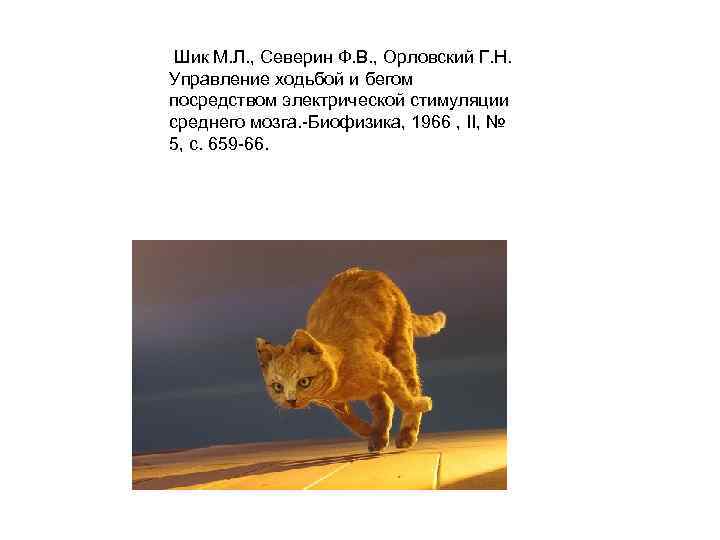  Шик М. Л. , Северин Ф. В. , Орловский Г. Н. Управление ходьбой