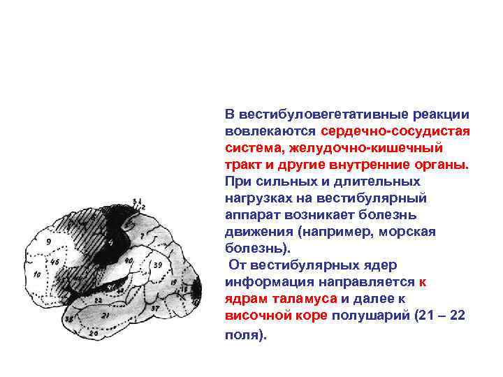 В вестибуловегетативные реакции вовлекаются сердечно-сосудистая система, желудочно-кишечный тракт и другие внутренние органы. При сильных