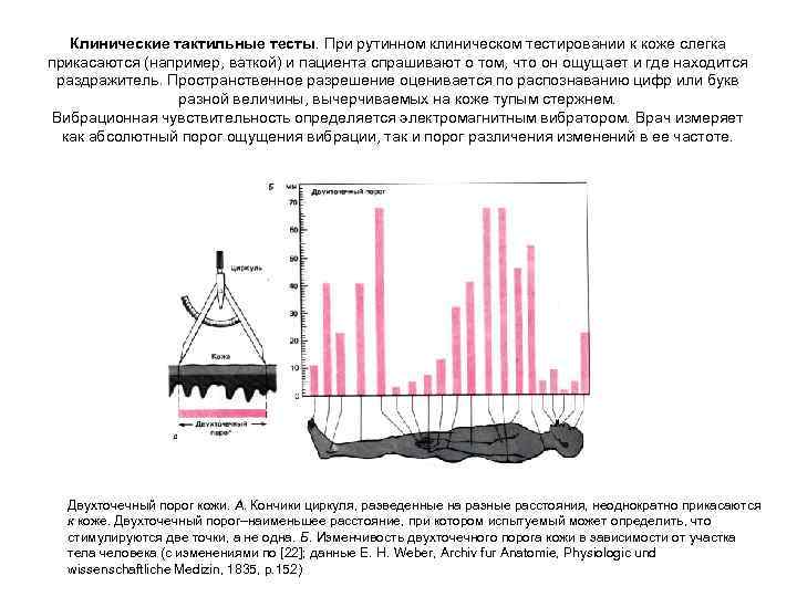 Клинические тактильные тесты. При рутинном клиническом тестировании к коже слегка прикасаются (например, ваткой) и