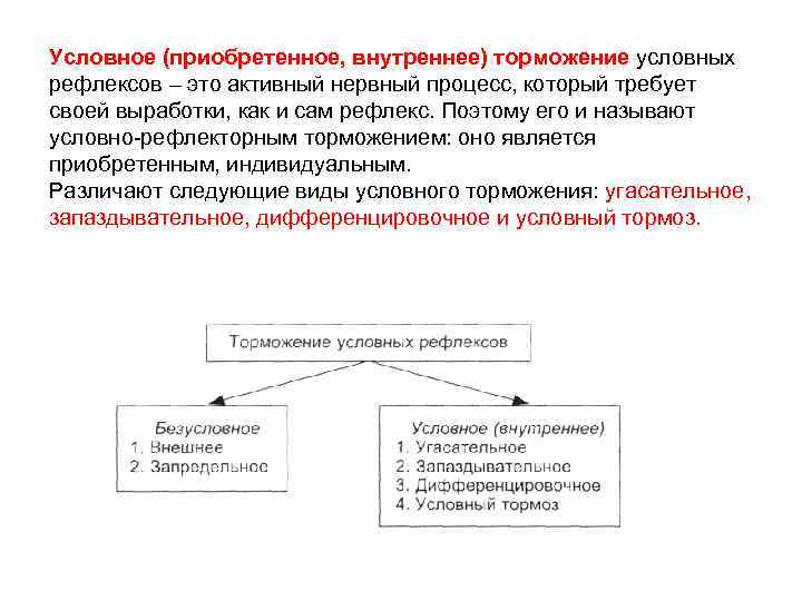 Условное (приобретенное, внутреннее) торможение условных рефлексов – это активный нервный процесс, который требует своей