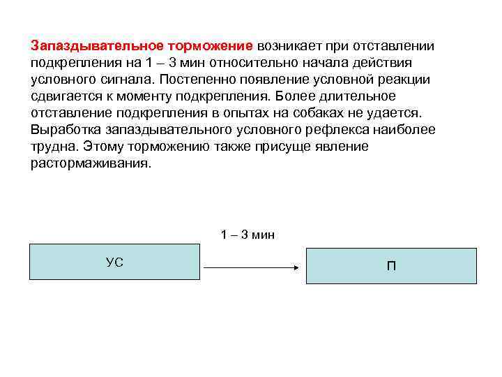 Запаздывательное торможение возникает при отставлении подкрепления на 1 – 3 мин относительно начала действия