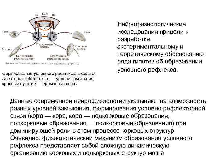 Формирование условного рефлекса. Схема Э. Асратяна (1956): а, б, в — уровни замыкания; красный