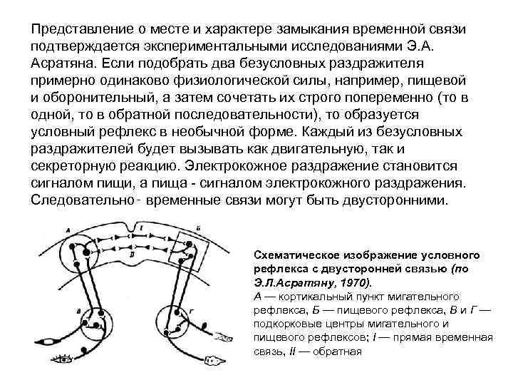Представление о месте и характере замыкания временной связи подтверждается экспериментальными исследованиями Э. А. Асратяна.
