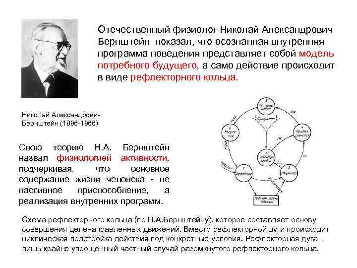 Отечественный физиолог Николай Александрович Бернштейн показал, что осознанная внутренняя программа поведения представляет собой модель