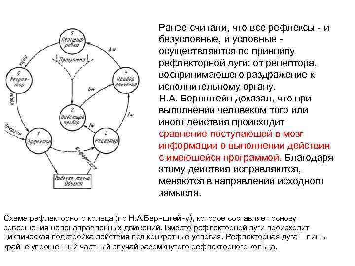 Схема рефлекторного кольца по бернштейну