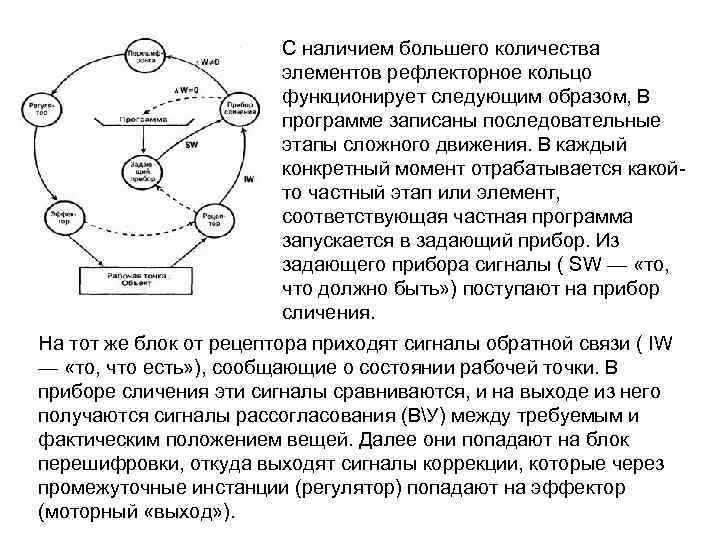 Моторное научение это