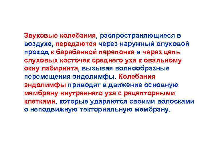 Звуковые колебания, распространяющиеся в воздухе, передаются через наружный слуховой проход к барабанной перепонке и
