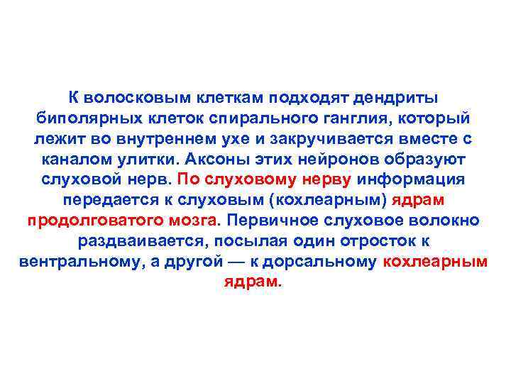 К волосковым клеткам подходят дендриты биполярных клеток спирального ганглия, который лежит во внутреннем ухе