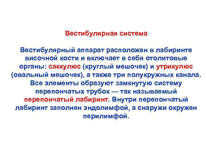 Вестибулярная система Вестибулярный аппарат расположен в лабиринте височной кости и включает в себя отолитовые