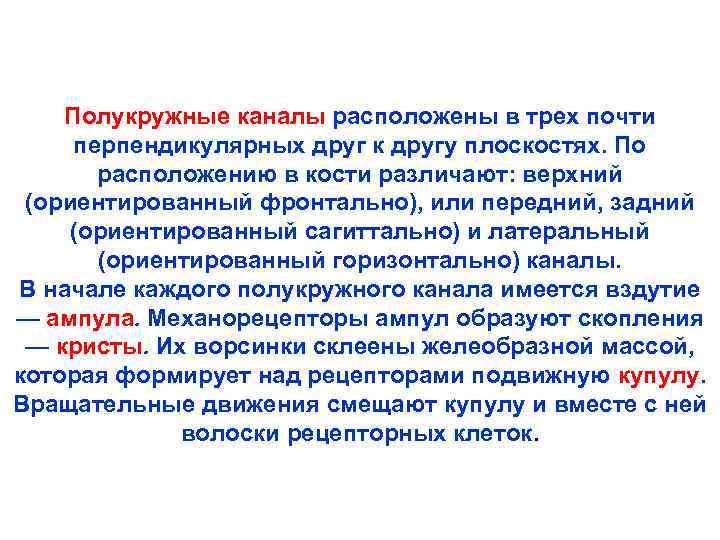 Полукружные каналы расположены в трех почти перпендикулярных друг к другу плоскостях. По расположению в