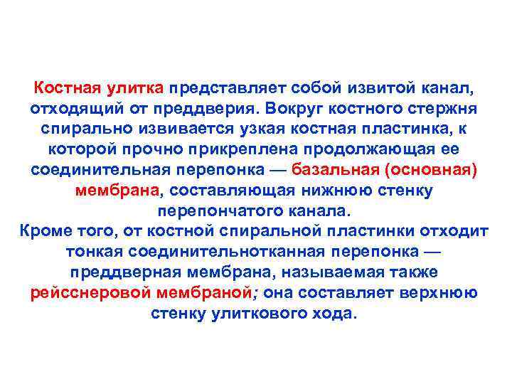 Костная улитка представляет собой извитой канал, отходящий от преддверия. Вокруг костного стержня спирально извивается