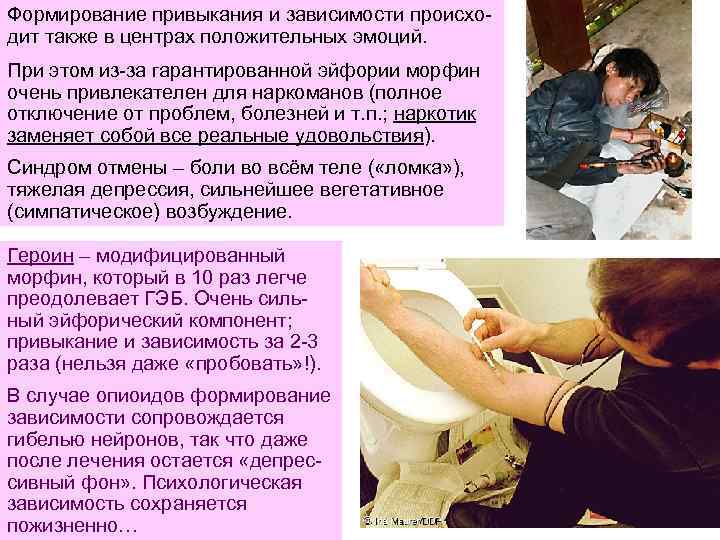 Формирование привыкания и зависимости происходит также в центрах положительных эмоций. При этом из-за гарантированной