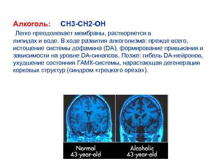 Алкоголь: СН 3 -СН 2 -ОН Легко преодолевает мембраны, растворяется в липидах и воде.