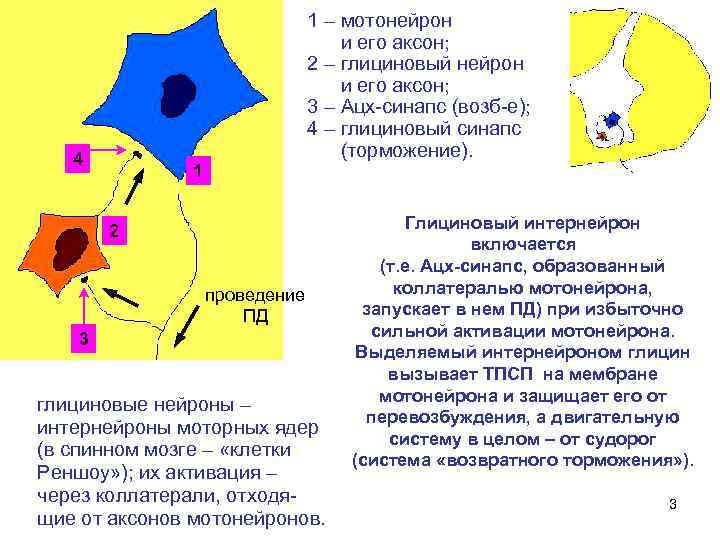 Проведение пд