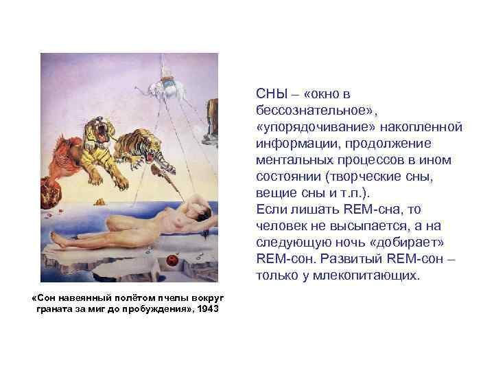 СНЫ – «окно в бессознательное» , «упорядочивание» накопленной информации, продолжение ментальных процессов в ином