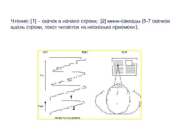 Чтение: [1] – скачок в начало строки; [2] мини-саккады (5 -7 скачков вдоль строки,