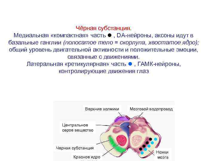 Обои аксон кострома