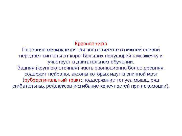 Красное ядро Передняя мелкоклеточная часть: вместе с нижней оливой передает сигналы от коры больших