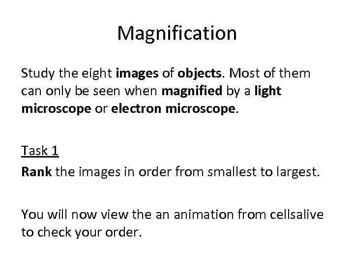 Magnification Study the eight images of objects. Most of them can only be seen